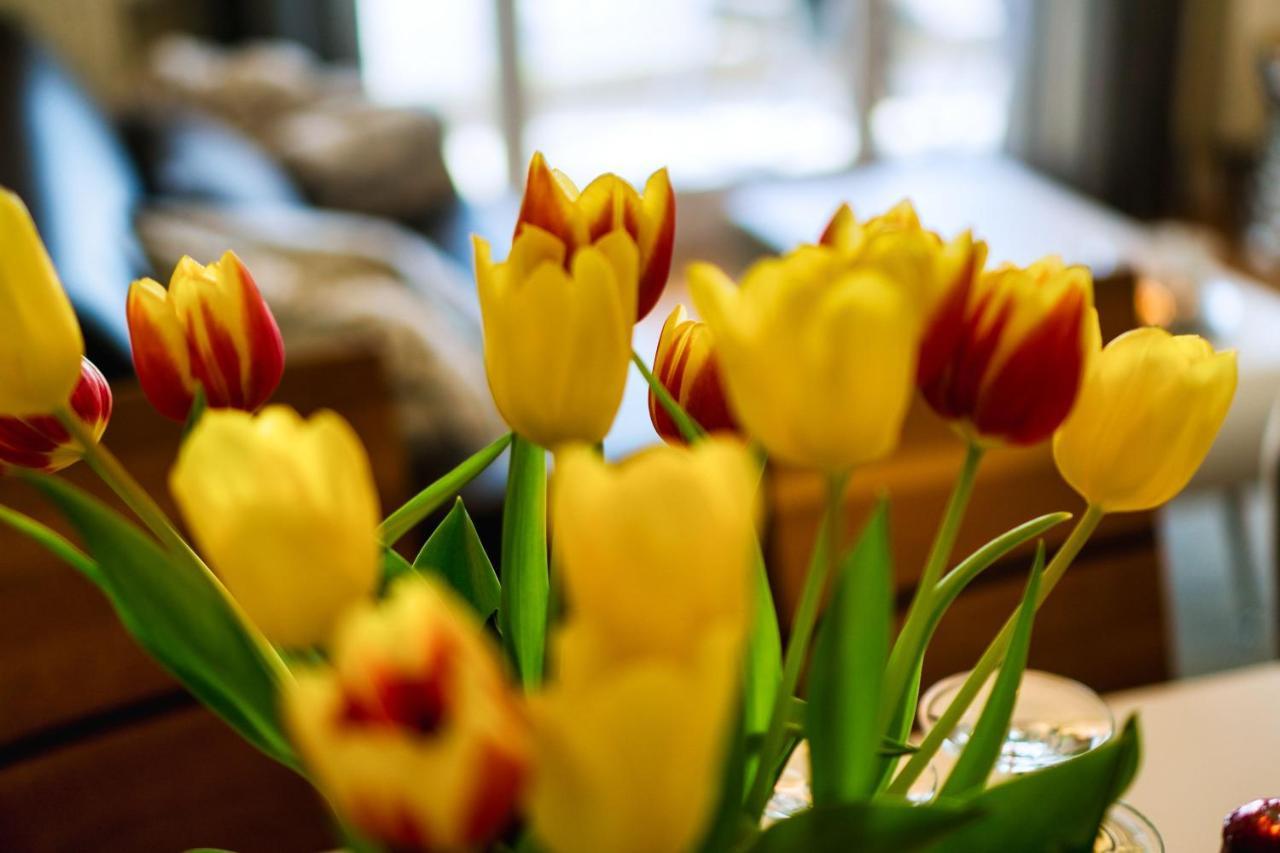 גוהרן Mit Meerblick Und Balkon, Gratis Nutzung Vom Ahoi Erlebnisbad Und Sauna In Sellin - Meeresblick Fewo 25 מראה חיצוני תמונה